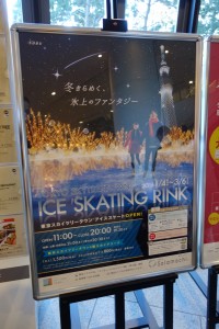 アイススケート2