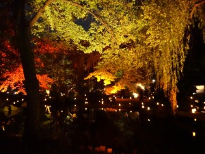 「靖国神社　秋の夜長参拝　みらいとてらす―秋を彩る九段の光―」（下）（8）